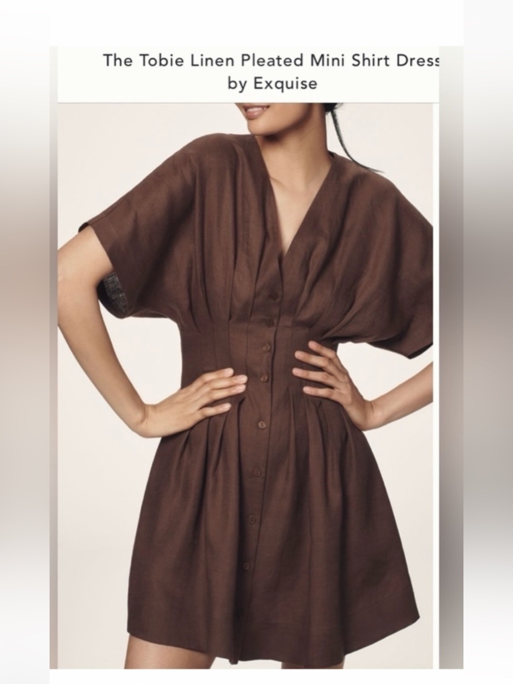 Exquisite Toby Linen Shirt Dress Nwot Sz Xl